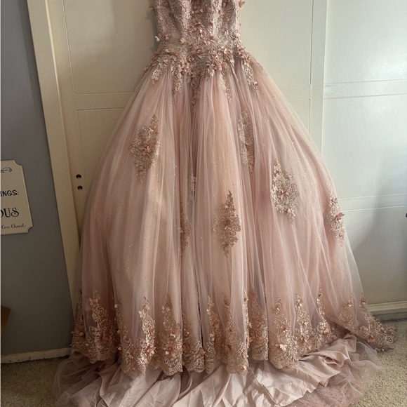 Elegant Pink Embellished Gowns - Picture 2 of 5